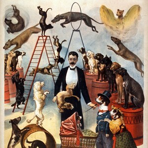 Los perros de circo - cartel de publicidad de estilo Retro estilo toalla de té de algodón grande
