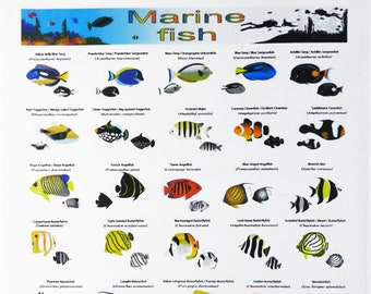 Collection of Marine Fish Tea Towel