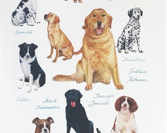 Show Dogs Large Cotton Tea Towel