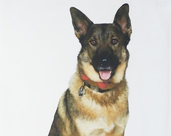 German Shepherd Large Cotton Tea Towel