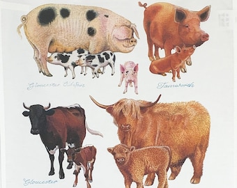 Farm Animals and their young Large Cotton Tea Towel