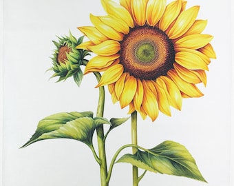 Sunflower Heads large cotton tea towel