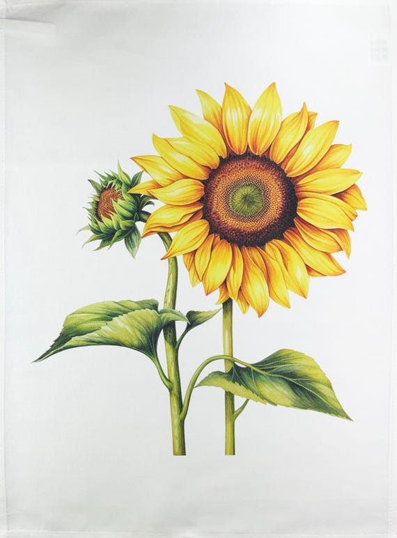 Sunflower Heads large cotton tea towel