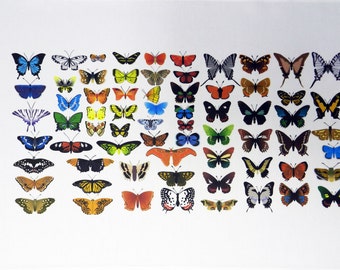 Colourful Butterfly Montage Large Cotton Tea Towel