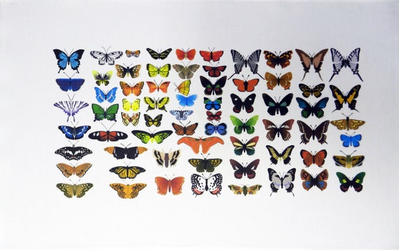 Colourful Butterfly Montage Large Cotton Tea Towel
