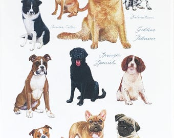 Dog Show Large Cotton Tea Towel