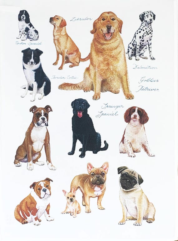 Dog Show Large Cotton Tea Towel