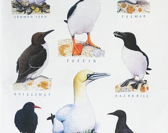 Traditional Sea Birds Large Cotton Tea Towel