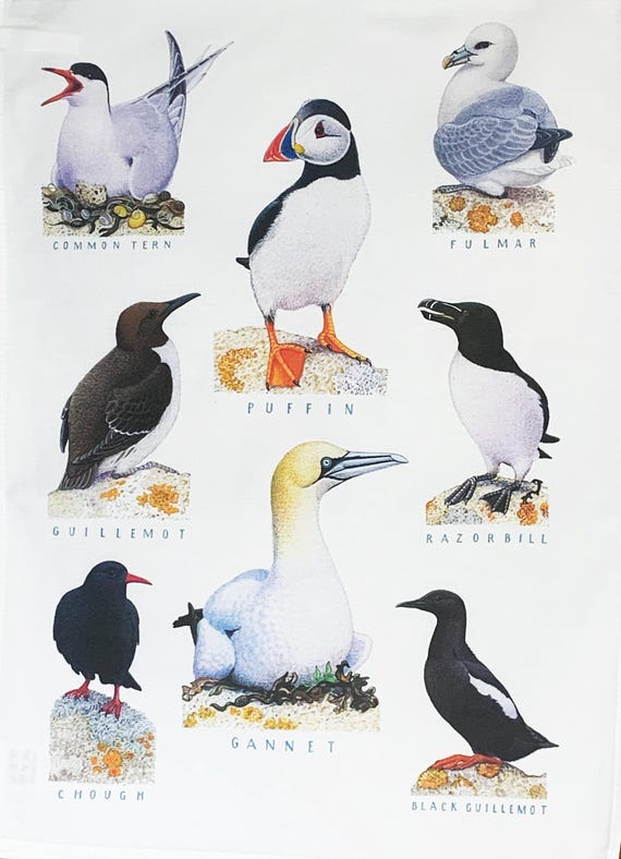 Traditional Sea Birds Large Cotton Tea Towel