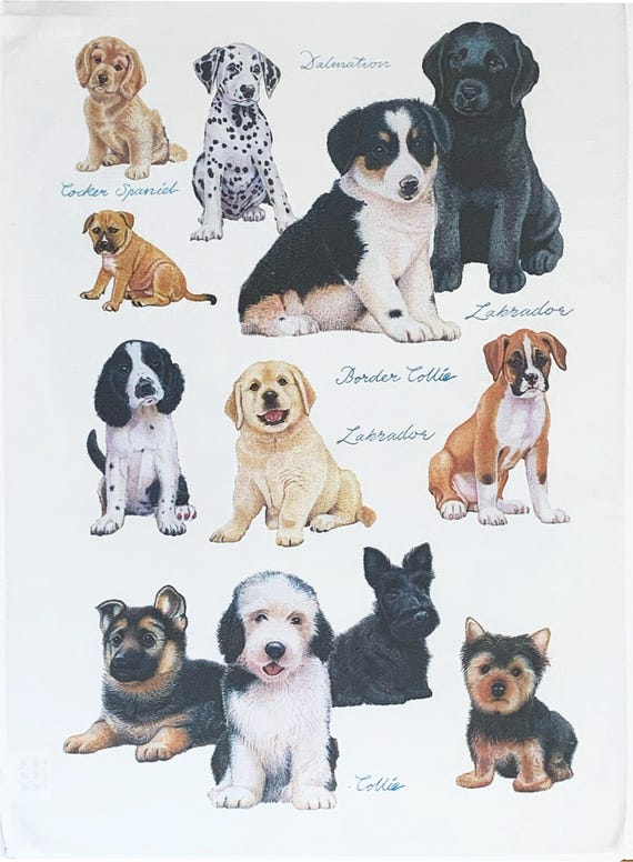 Puppy Dog Collection Large Cotton Tea Towel