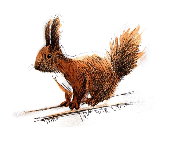 Squirrel in a Hurry Large Cotton Tea Towel