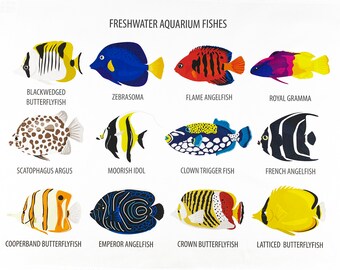 Collection of Freshwater Aquarium Fishes - Coral Reef Fish Tea Towel