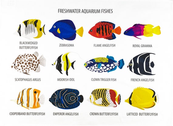 Collection of Freshwater Aquarium Fishes Coral Reef Fish Tea Towel -  UK