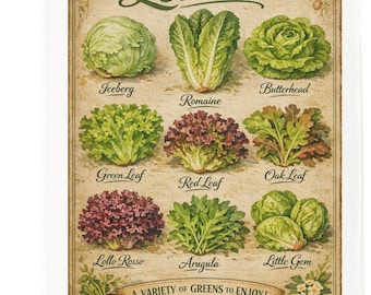 Types of Lettuce cotton tea towel