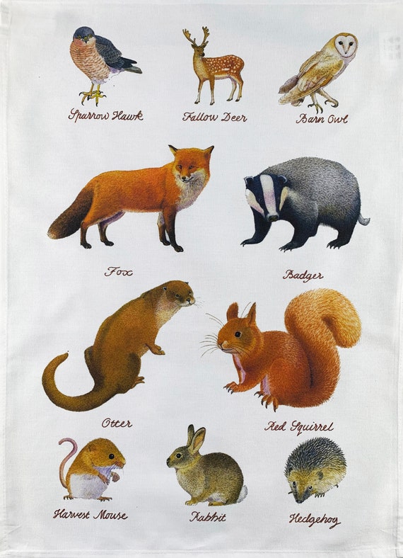 Hand Drawn Wildlife Animals Large Cotton Tea Towel