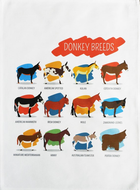 Breeds of Donkey -Large Cotton Tea Towel
