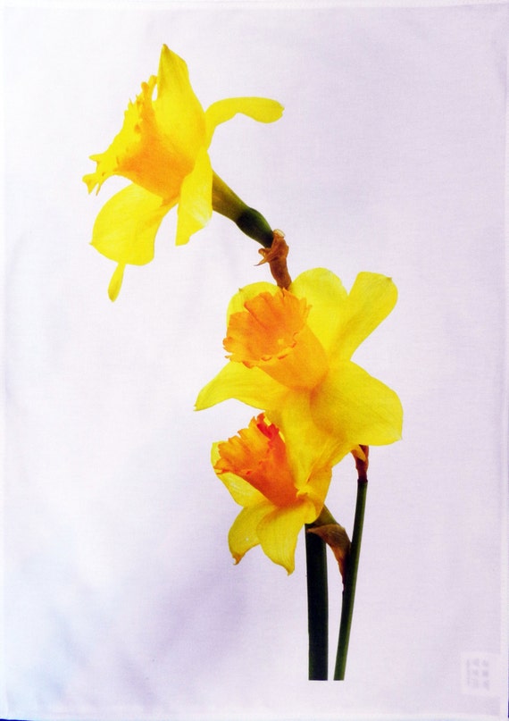 Yellow Daffodils Cotton Tea Towel