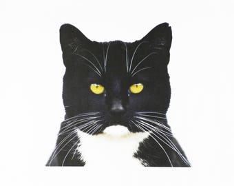 The Black and White Cat Large Cotton Tea Towel