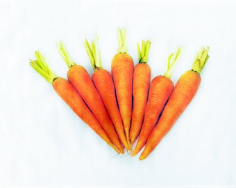 Bunch of carrots - Large Cotton Tea Towel