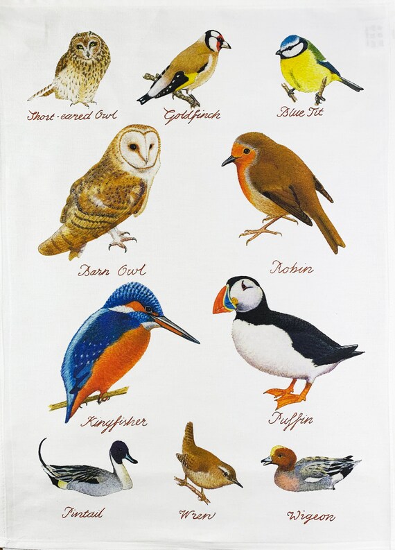 Hand Drawn British Birds Collection Large Cotton Tea Towel