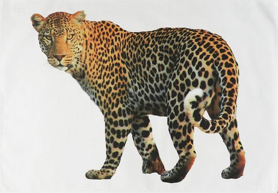 The Big Leopard - Big Cat Large Cotton Tea Towel