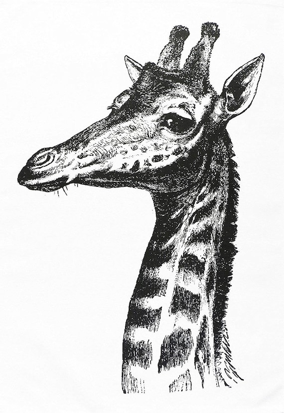 Retro Style Giraffe Head on Large Cotton Tea Towel