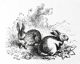The Two Rabbits - Large Cotton Tea Towel