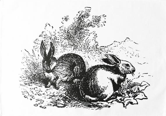 The Two Rabbits - Large Cotton Tea Towel