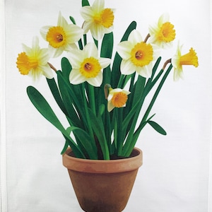 May include: A floral print featuring a terracotta pot filled with daffodils. The daffodils have white petals and bright yellow centers and trumpets. The green leaves and stems add contrast to the flowers. The pot is a warm brown color.