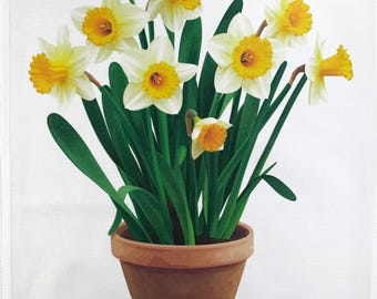 Pot of Spring Daffodils large cotton tea towel