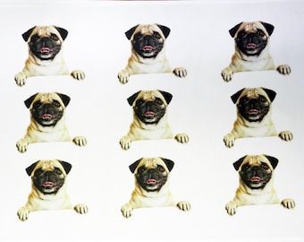 Pug Dogs Large Cotton Tea Towel