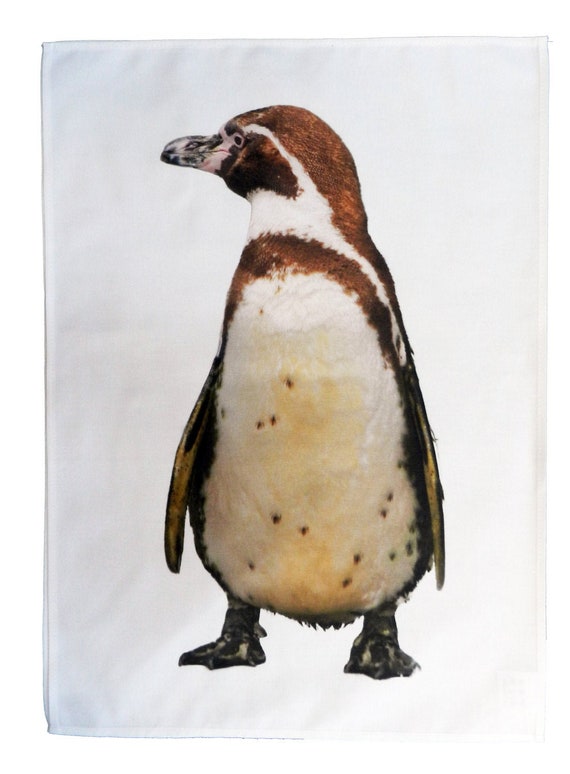 The Magellanic Penguin Cotton Tea Towel