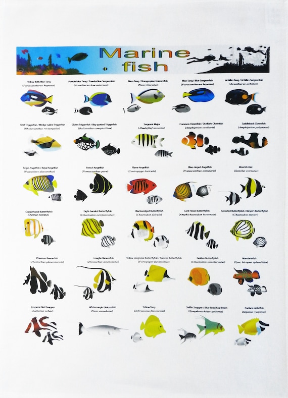 Collection of Marine Fish Tea Towel