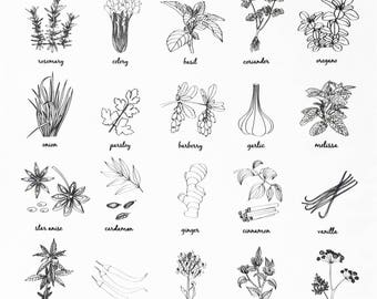 Herbs and Spices Large Cotton Tea Towel