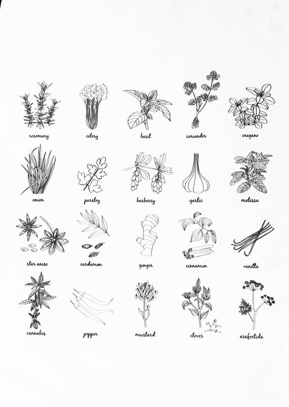 Herbs and Spices Large Cotton Tea Towel