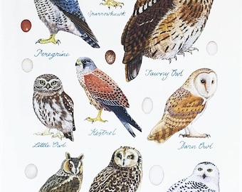 Birds of Prey Large Cotton Tea Towel
