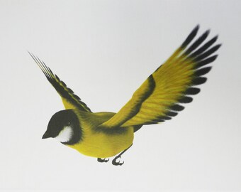 Finch in Flight Large Cotton Tea Towel