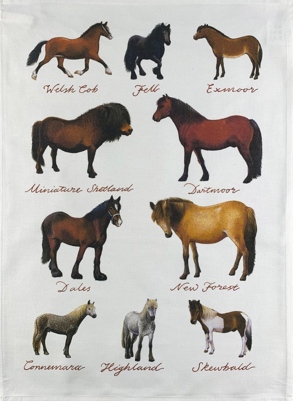 Hand Drawn Ponies Collection Large Cotton Tea Towel