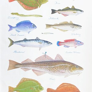 May include: A watercolour illustration showcasing diverse fish species such as Plaice, Bass, and Cod. Each fish is meticulously depicted with its name in cursive script. The artwork's colour scheme incorporates greens, blues, and oranges.