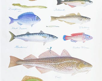 Sea Fishes Cotton Tea Towel, White, Large, 47x65cm, Rectangular, hanging loop