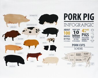 Pig Infographic - Large Cotton Tea Towel