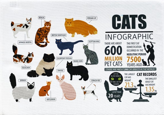 Breeds of Cat Infographic Large Cotton Tea Towel