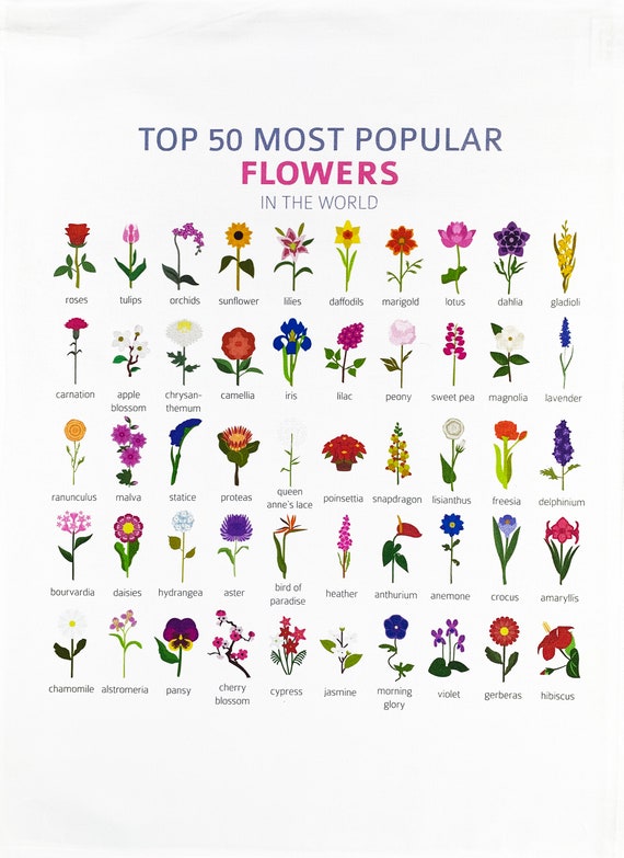 Top 50 most popular: half and half