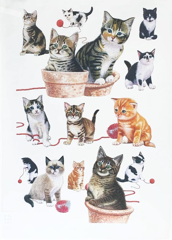 The Playful Kittens Large Cotton Tea Towel