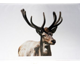Woodland Deer Large Cotton Tea Towel