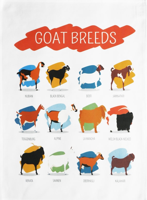 Breeds of Goat Large Cotton Tea Towel