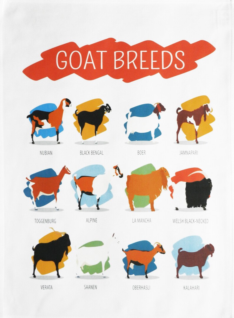 May include: White rectangular textile featuring illustrations of various goat breeds, including Nubian, Black Bengal, and Boer. The text "GOAT BREEDS" is displayed in a red banner at the top.