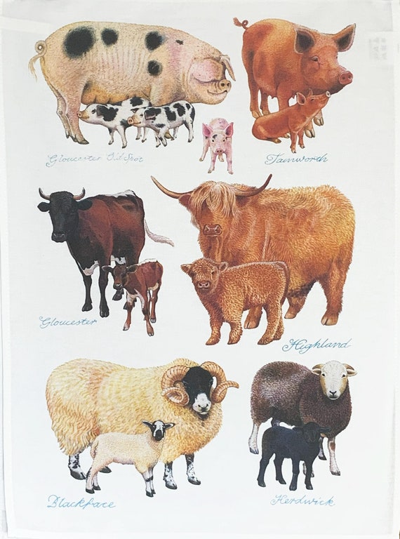 Farm Animals and their young Large Cotton Tea Towel
