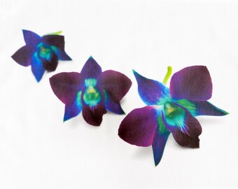 The Purple Orchid Large Cotton Tea Towel