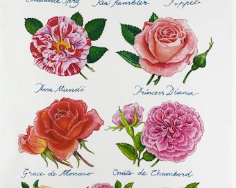 The Hand Drawn Roses Collection Large Cotton Tea Towel
